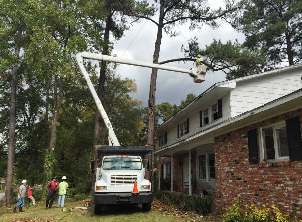 Best Tree Risk Assessment  in Shorewood, WI