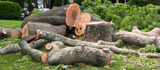 Lawn Maintenance Plans in Shorewood, WI